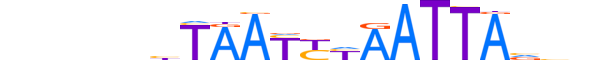 ALX1.H13CORE.0.SM.B reverse-complement motif logo (ALX1 gene, ALX1_HUMAN protein)