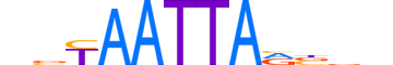 ALX3.H13CORE.0.SM.B reverse-complement motif logo (ALX3 gene, ALX3_HUMAN protein)