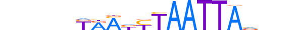 ALX3.H13CORE.1.S.B reverse-complement motif logo (ALX3 gene, ALX3_HUMAN protein)