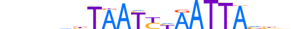 ALX4.H13CORE.0.S.B reverse-complement motif logo (ALX4 gene, ALX4_HUMAN protein)