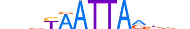 ALX4.H13CORE.1.SM.B reverse-complement motif logo (ALX4 gene, ALX4_HUMAN protein)