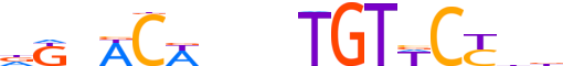 ANDR.H13CORE.0.P.B motif logo (AR gene, ANDR_HUMAN protein)