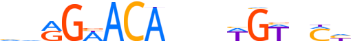 ANDR.H13CORE.0.P.B reverse-complement motif logo (AR gene, ANDR_HUMAN protein)