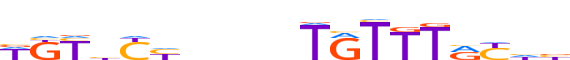 ANDR.H13CORE.2.P.B motif logo (AR gene, ANDR_HUMAN protein)