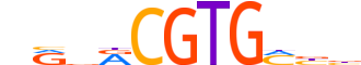 ARNT2.H13CORE.1.P.B motif logo (ARNT2 gene, ARNT2_HUMAN protein)