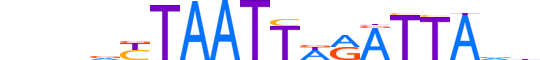 ARX.H13CORE.0.S.B reverse-complement motif logo (ARX gene, ARX_HUMAN protein)