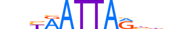 ARX.H13CORE.1.SM.B motif logo (ARX gene, ARX_HUMAN protein)