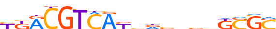 ATF1.H13CORE.1.P.B reverse-complement motif logo (ATF1 gene, ATF1_HUMAN protein)