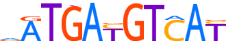 ATF2.H13CORE.1.P.B motif logo (ATF2 gene, ATF2_HUMAN protein)