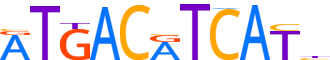 ATF2.H13CORE.1.P.B reverse-complement motif logo (ATF2 gene, ATF2_HUMAN protein)