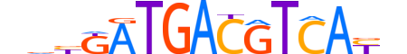 ATF3.H13CORE.3.SM.B motif logo (ATF3 gene, ATF3_HUMAN protein)
