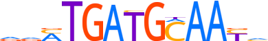 ATF4.H13CORE.0.P.B motif logo (ATF4 gene, ATF4_HUMAN protein)