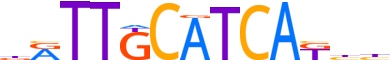 ATF4.H13CORE.0.P.B reverse-complement motif logo (ATF4 gene, ATF4_HUMAN protein)