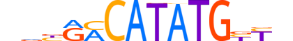 ATOH1.H13CORE.1.SM.B motif logo (ATOH1 gene, ATOH1_HUMAN protein)