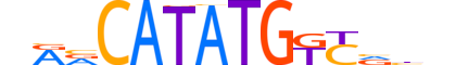 ATOH1.H13CORE.1.SM.B reverse-complement motif logo (ATOH1 gene, ATOH1_HUMAN protein)