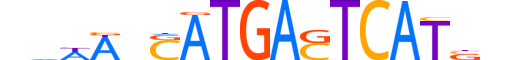 BACH2.H13CORE.1.SM.B reverse-complement motif logo (BACH2 gene, BACH2_HUMAN protein)