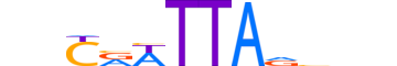 BARH1.H13CORE.0.SM.B reverse-complement motif logo (BARHL1 gene, BARH1_HUMAN protein)