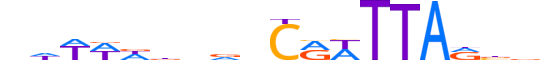 BARH1.H13CORE.1.S.B reverse-complement motif logo (BARHL1 gene, BARH1_HUMAN protein)