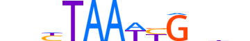 BARH2.H13CORE.0.SM.B reverse-complement motif logo (BARHL2 gene, BARH2_HUMAN protein)