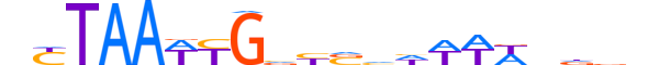 BARH2.H13CORE.1.S.B reverse-complement motif logo (BARHL2 gene, BARH2_HUMAN protein)