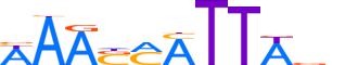 BARX1.H13CORE.0.P.C reverse-complement motif logo (BARX1 gene, BARX1_HUMAN protein)