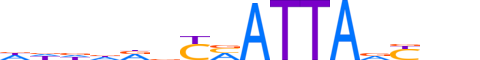 BARX1.H13CORE.1.S.B reverse-complement motif logo (BARX1 gene, BARX1_HUMAN protein)