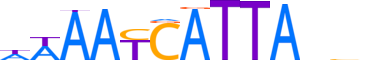 BARX2.H13CORE.0.SM.B motif logo (BARX2 gene, BARX2_HUMAN protein)