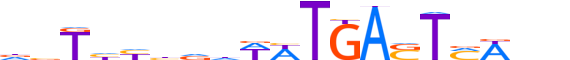 BATF.H13CORE.0.P.B motif logo (BATF gene, BATF_HUMAN protein)