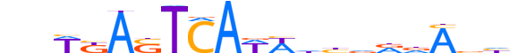 BATF.H13CORE.0.P.B reverse-complement motif logo (BATF gene, BATF_HUMAN protein)