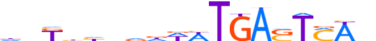 BATF3.H13CORE.0.P.B motif logo (BATF3 gene, BATF3_HUMAN protein)