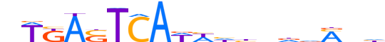 BATF3.H13CORE.0.P.B reverse-complement motif logo (BATF3 gene, BATF3_HUMAN protein)