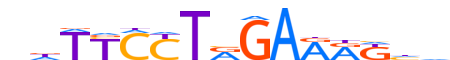 BCL6B.H13CORE.0.PSM.A reverse-complement motif logo (BCL6B gene, BCL6B_HUMAN protein)