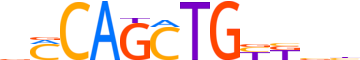 BHA15.H13CORE.0.P.B reverse-complement motif logo (BHLHA15 gene, BHA15_HUMAN protein)