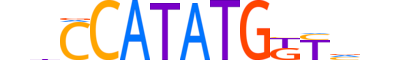 BHA15.H13CORE.1.SM.B reverse-complement motif logo (BHLHA15 gene, BHA15_HUMAN protein)