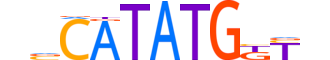 BHE22.H13CORE.0.SM.B motif logo (BHLHE22 gene, BHE22_HUMAN protein)