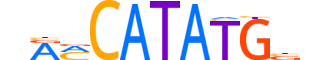 BHE22.H13CORE.0.SM.B reverse-complement motif logo (BHLHE22 gene, BHE22_HUMAN protein)