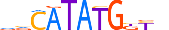 BHE23.H13CORE.0.SM.B motif logo (BHLHE23 gene, BHE23_HUMAN protein)