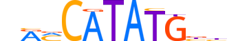 BHE23.H13CORE.0.SM.B reverse-complement motif logo (BHLHE23 gene, BHE23_HUMAN protein)