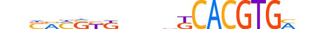 BHE40.H13CORE.1.S.C motif logo (BHLHE40 gene, BHE40_HUMAN protein)