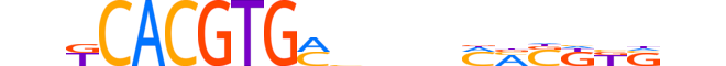 BHE40.H13CORE.1.S.C reverse-complement motif logo (BHLHE40 gene, BHE40_HUMAN protein)