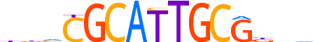 CAMTA2.H13CORE.0.PSGI.A reverse-complement motif logo (CAMTA2 gene, CMTA2_HUMAN protein)