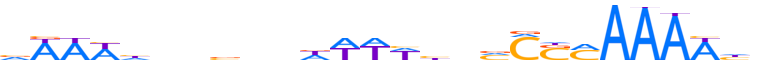 CASZ1.H13CORE.0.SGI.A reverse-complement motif logo (CASZ1 gene, CASZ1_HUMAN protein)