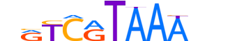 CDX1.H13CORE.0.M.B reverse-complement motif logo (CDX1 gene, CDX1_HUMAN protein)