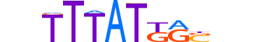 CDX1.H13CORE.1.S.B motif logo (CDX1 gene, CDX1_HUMAN protein)