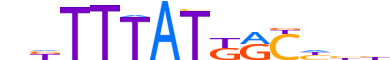 CDX2.H13CORE.0.PS.A motif logo (CDX2 gene, CDX2_HUMAN protein)