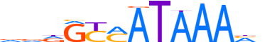 CDX2.H13CORE.0.PS.A reverse-complement motif logo (CDX2 gene, CDX2_HUMAN protein)