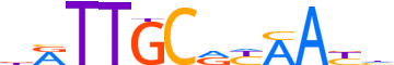 CEBPA.H13CORE.0.P.B reverse-complement motif logo (CEBPA gene, CEBPA_HUMAN protein)