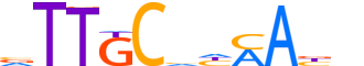 CEBPE.H13CORE.0.P.B reverse-complement motif logo (CEBPE gene, CEBPE_HUMAN protein)