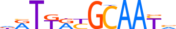 CEBPG.H13CORE.0.P.B reverse-complement motif logo (CEBPG gene, CEBPG_HUMAN protein)