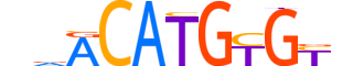 CLOCK.H13CORE.0.M.C reverse-complement motif logo (CLOCK gene, CLOCK_HUMAN protein)